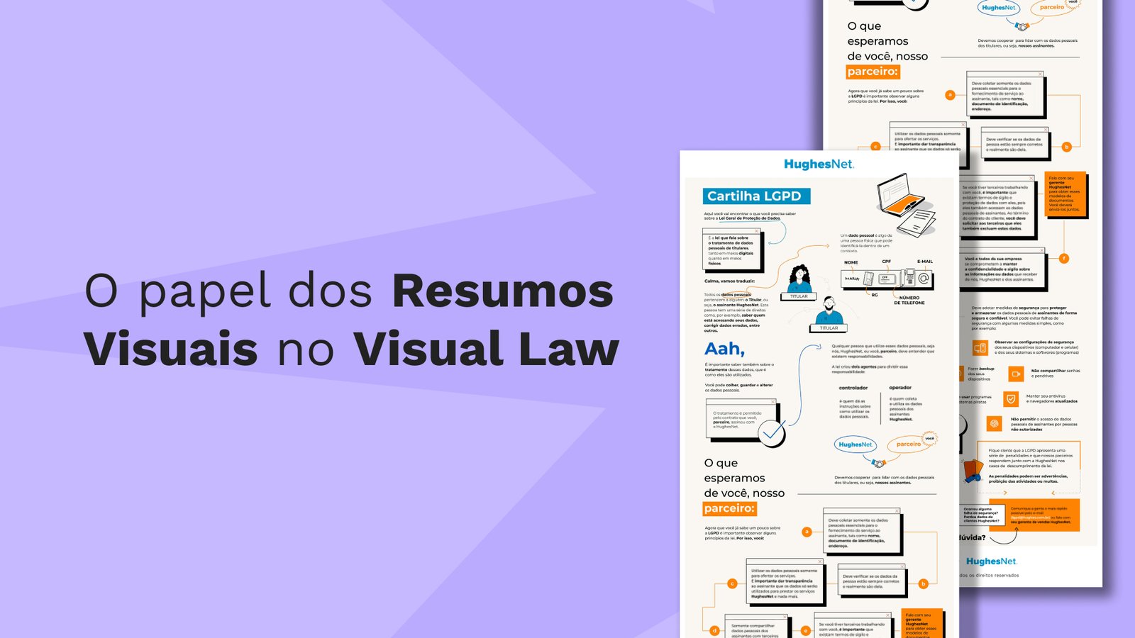 O papel dos Resumos Visuais no Visual Law